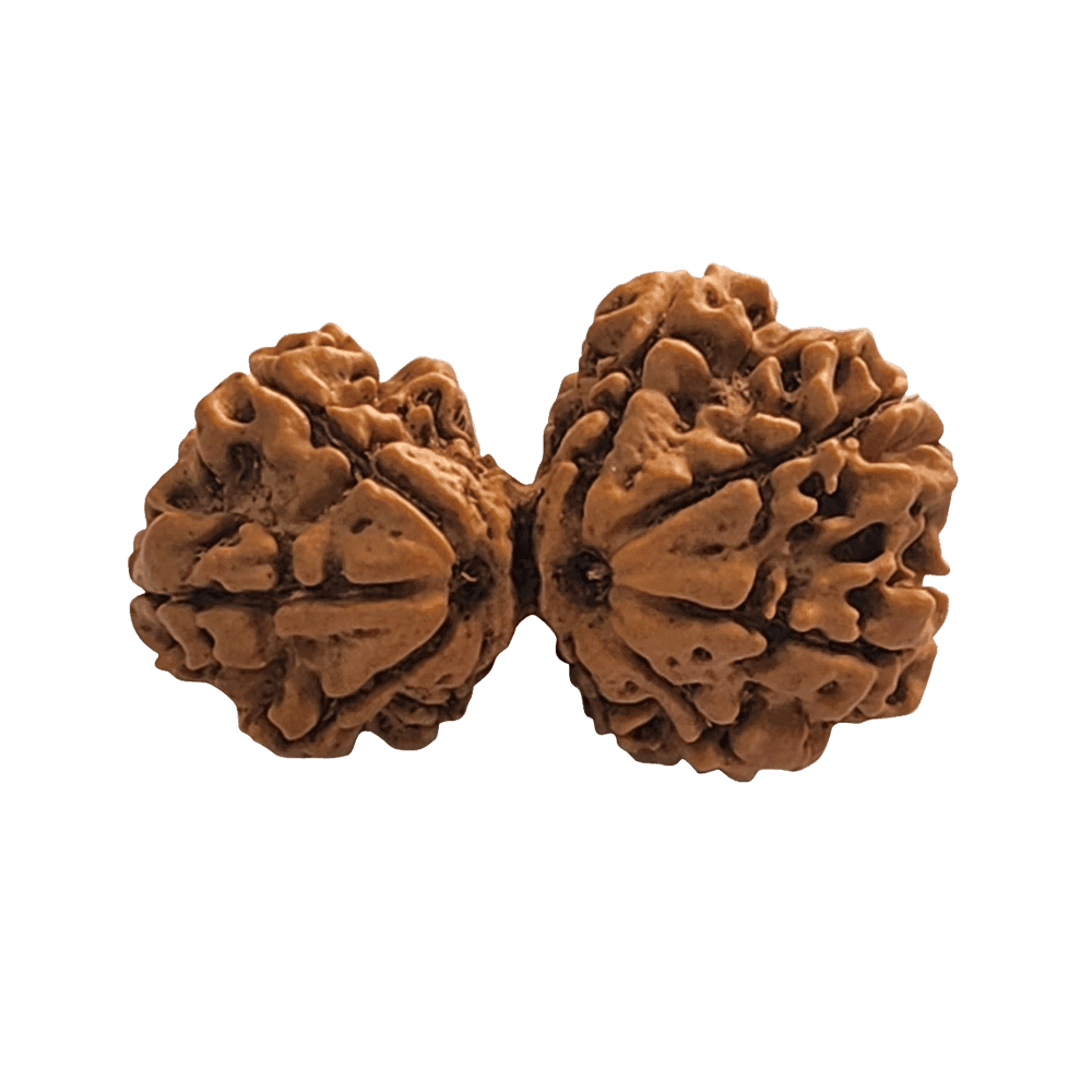 9-Mukhi-Gauri-Shankar-1.png
