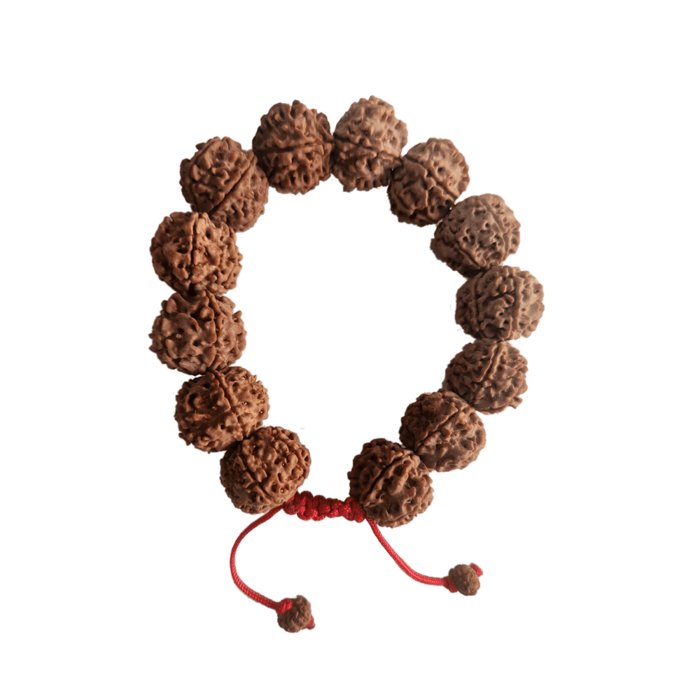 6 Mukhi Nepali Rudraksha Bracelet