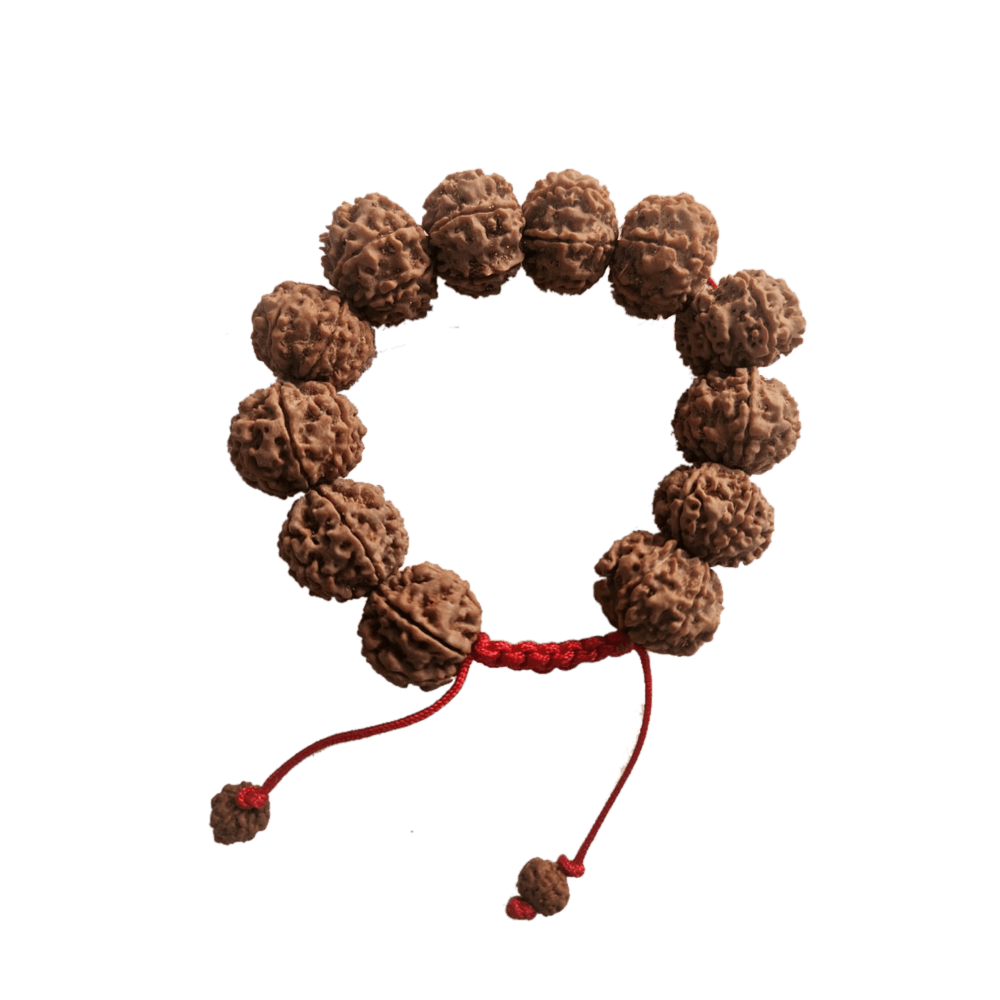 7 Mukhi Nepali Rudraksha Bracelet