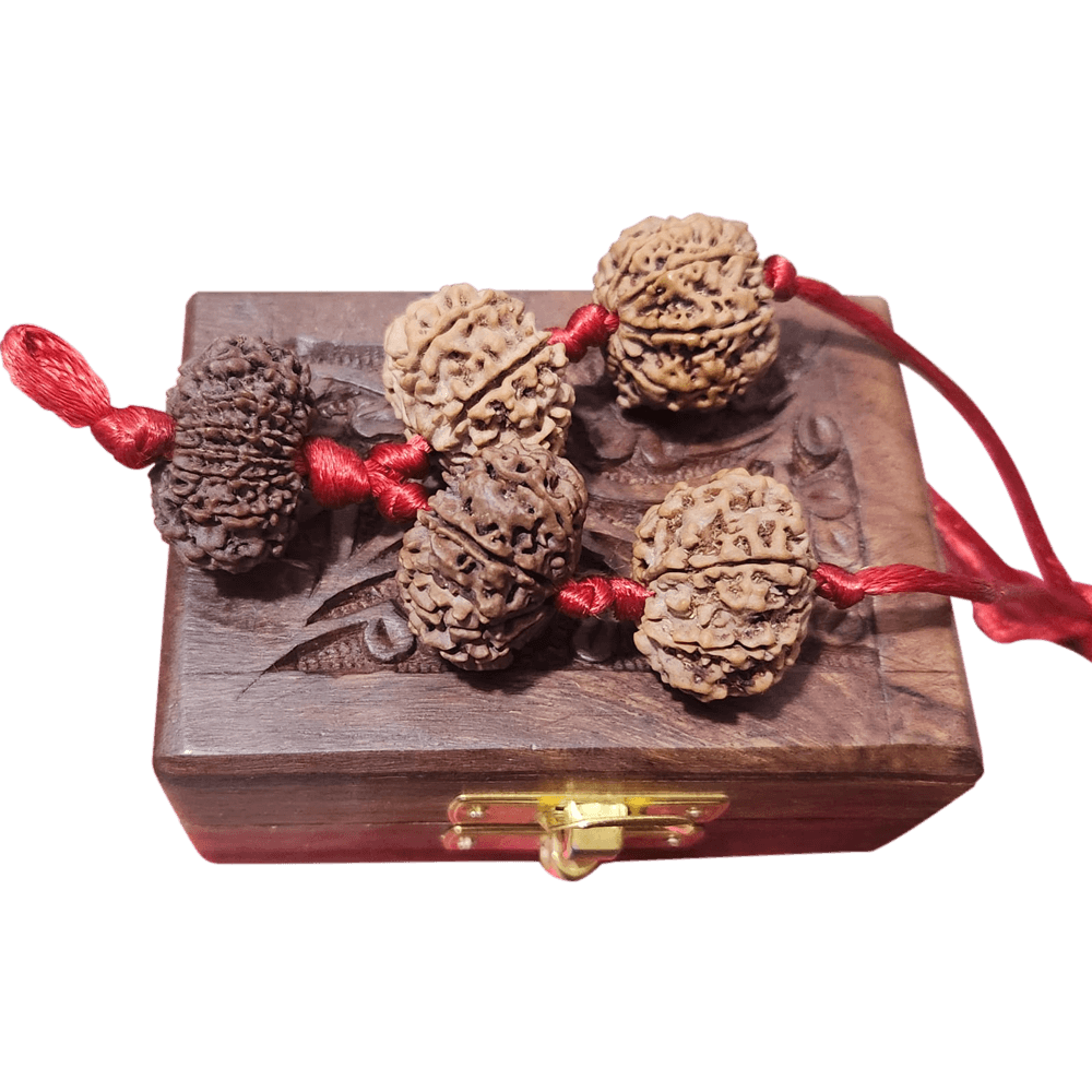 Rudraksha-Combination-3.png