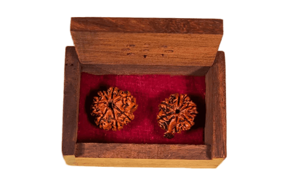Laxmi Ganesh Cash Box Combo