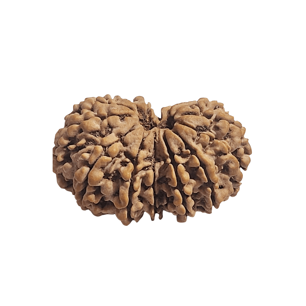 view 2