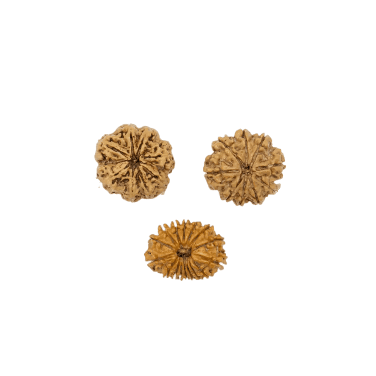 Rahu Ketu Combination