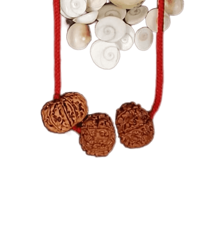 Rahu Ketu Shani Combination