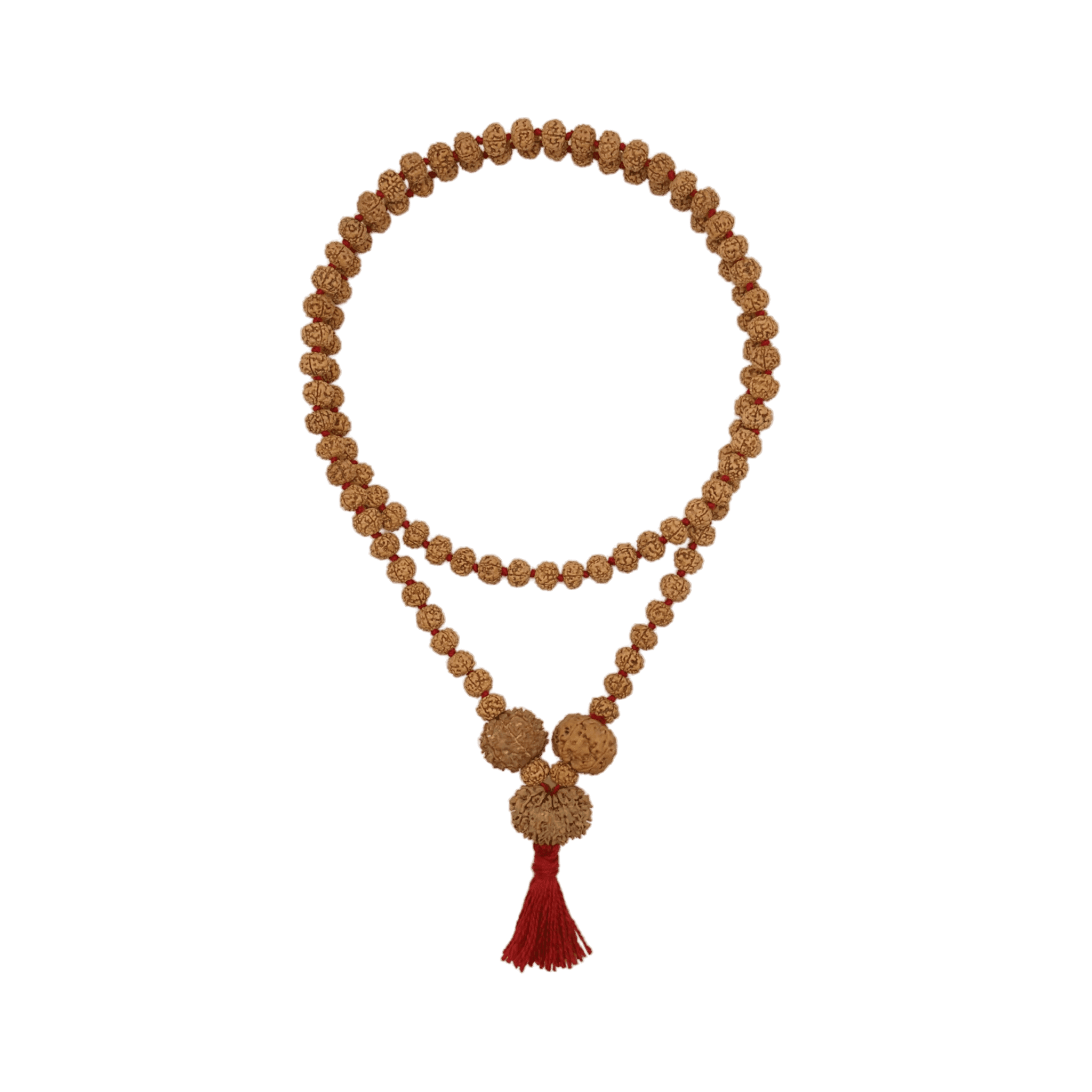Pitra Dosh Combination