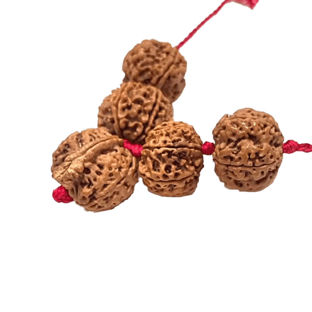 Karya Siddhi Combination