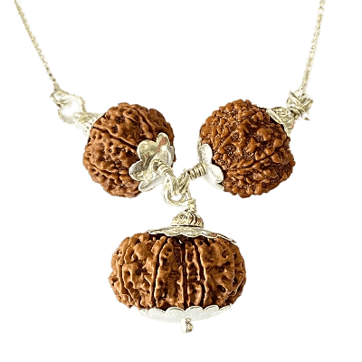 Business Vriddhi (7-8-14 Mukhi Nepali Rudraksha)