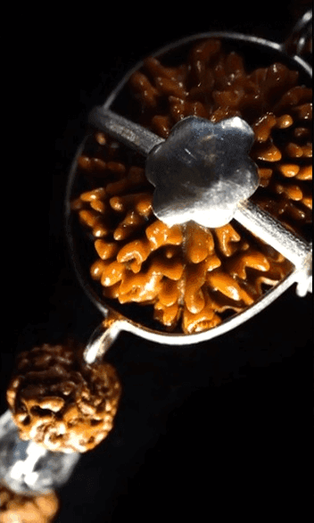 13 Mukhi Dhanveer Bracelet