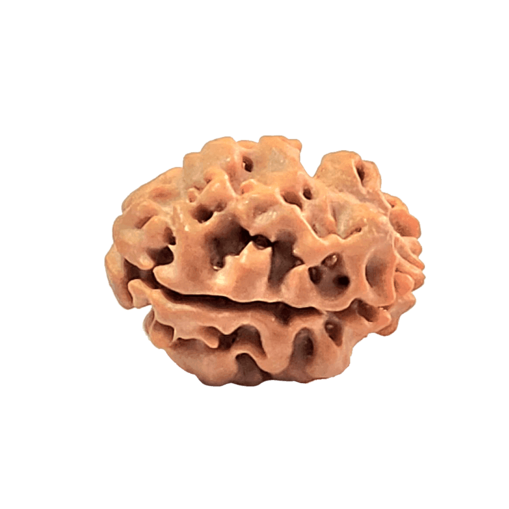 2 Mukhi 4