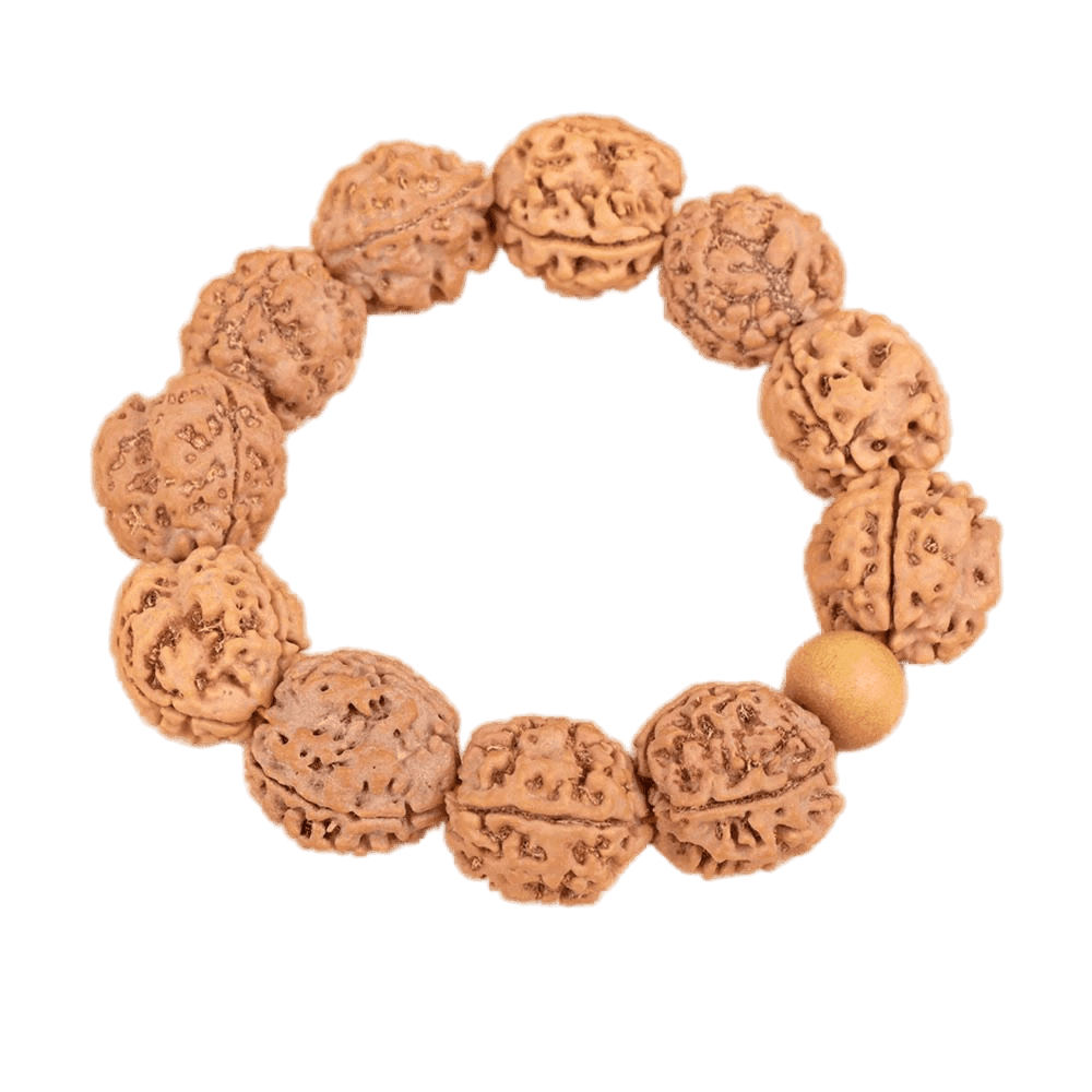 3 Mukhi Nepali Rudraksha Bracelet