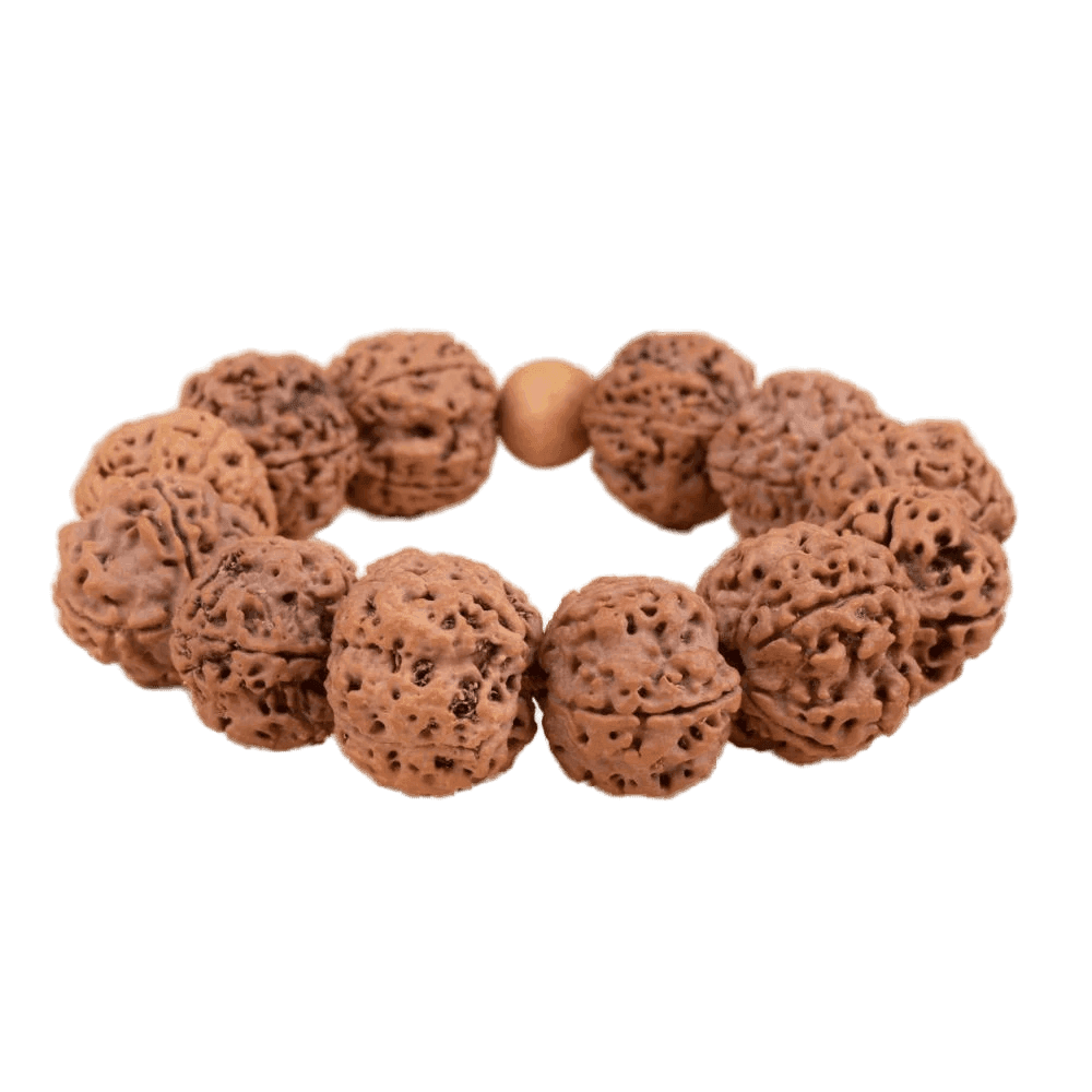 4 Mukhi Nepali Rudraksha Bracelet