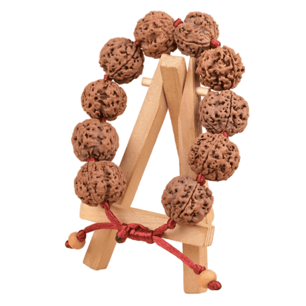 4 Mukhi Nepali Rudraksha Adjustable Bracelet