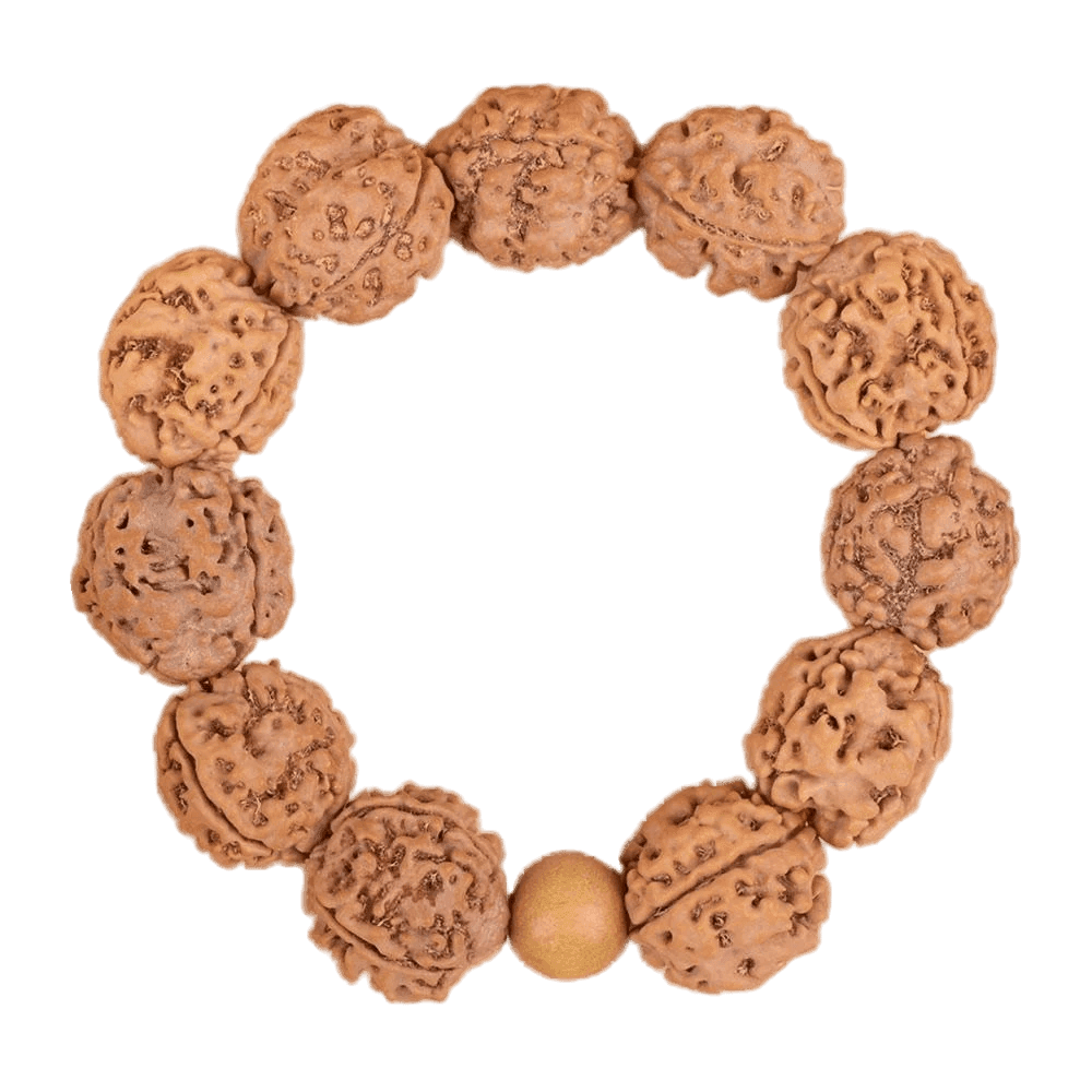 3 Mukhi Nepali Rudraksha Bracelet