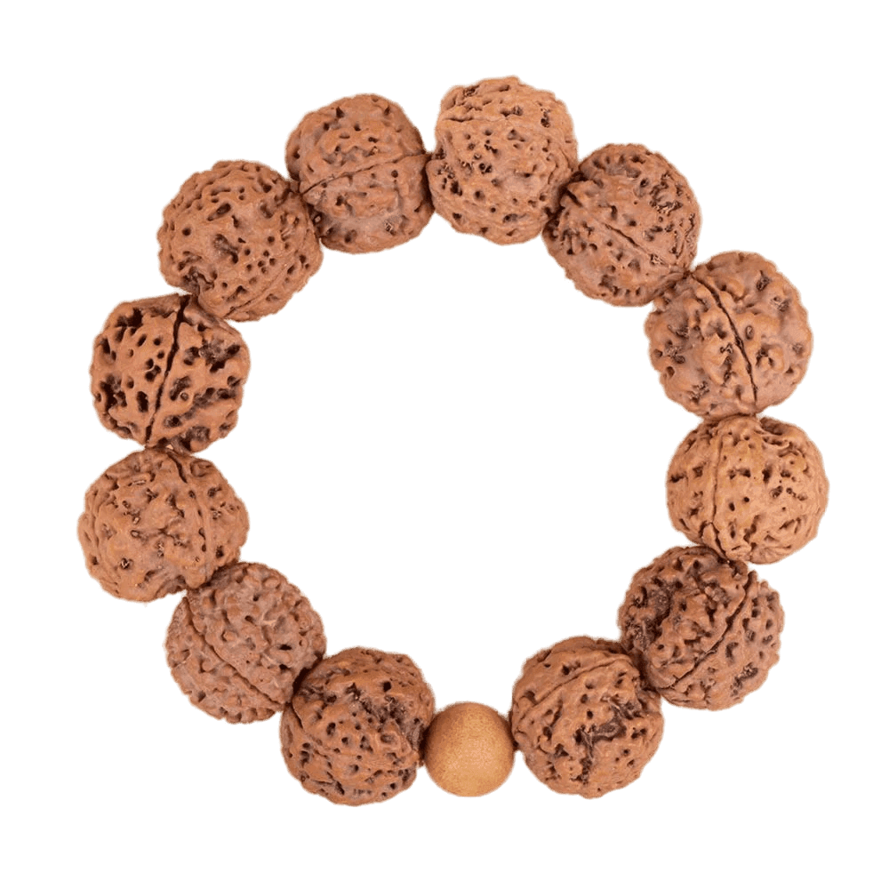 4 Mukhi Nepali Rudraksha Bracelet