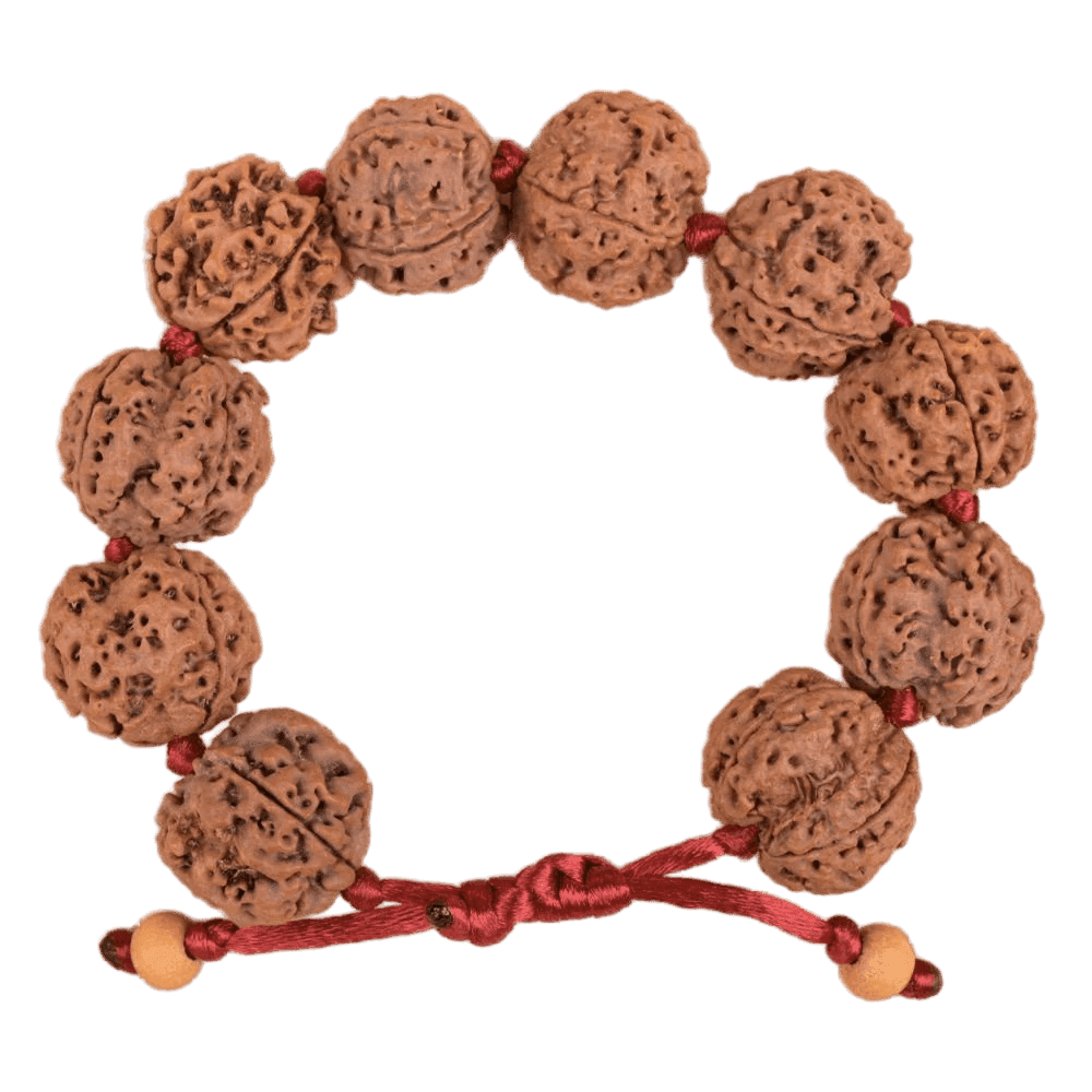 4 Mukhi Nepali Rudraksha Adjustable Bracelet